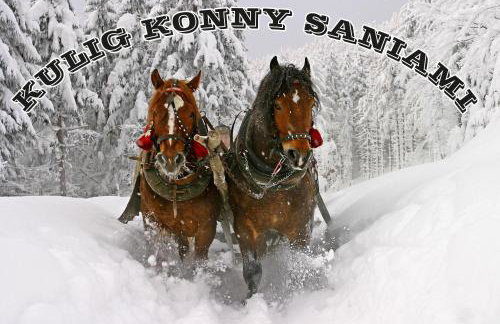 Tarnawianka Apart, jacuzzi, sauna, bilard - Foto 38