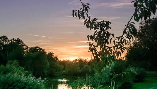 Lake View Lodges - 25074 - Foto 5, Garden