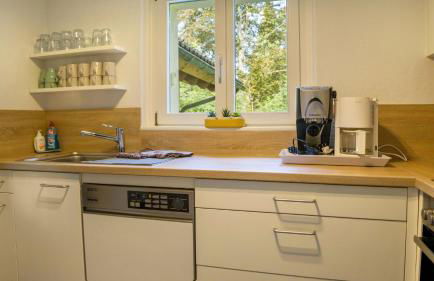 Schluchseeoase - Foto 10