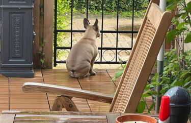 Idyllische Wohnung mit Terrasse und Seezugang - Foto 13