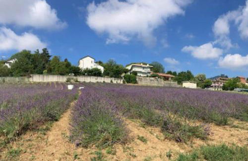 Dolce vita sur la colline de Turin - Foto 34