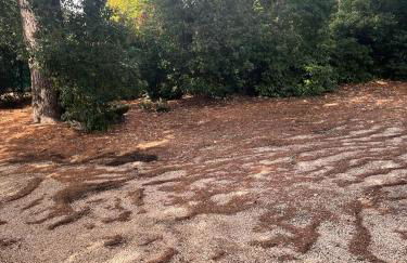 Villa Adriana Tuscia Country Retreat - Foto 13