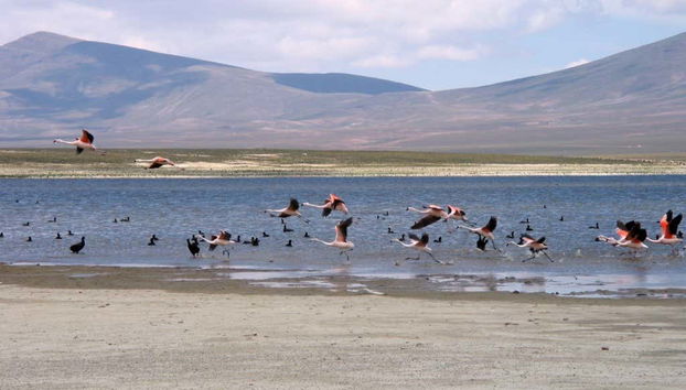 Laguna Grande de Tajzara