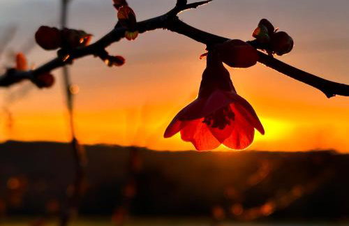 Chambre en pierre - Foto 74