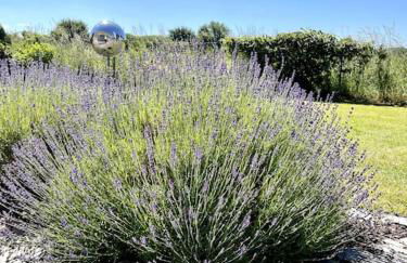 Ferienhaus Ankerplatz - Foto 24