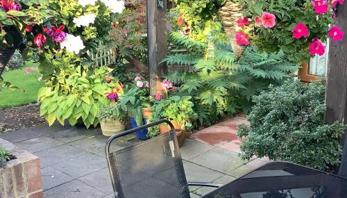 Brook Lodge Country Cottage - Foto 5