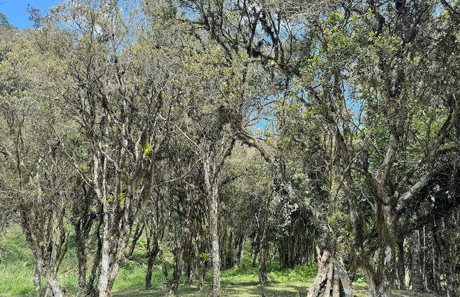 Vila Vert - Rancho Queimado - SC - Foto 55