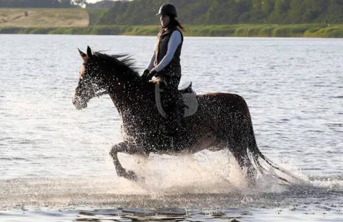 Gustow Garden Retreat - Foto 74