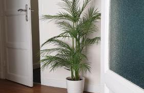 "Le Rollin Cosy" LOVELY - CONFORT- RELAX - CENTRE VILLE - 6 Voyageurs - Foto 6