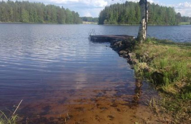 3 bedroom House in Pielavesi with sauna - Photo 4