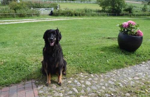 Der historische Silberhof von 1856 - Foto 47