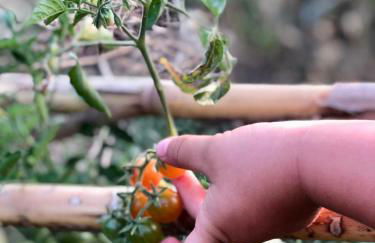 Monte da Rochela - Foto 17