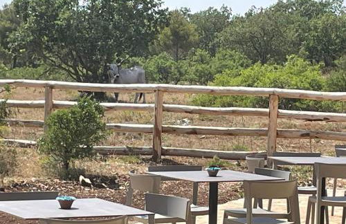 DONNAPAOLA MODERN FARM - Foto 54