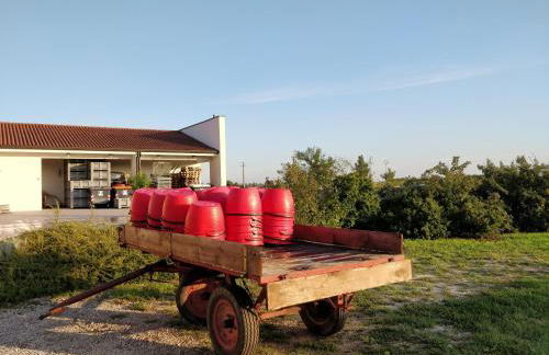 Agriturismo Gazza Ladra - Foto 29