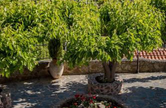 Halases Panorama Villa pvt pool - Foto 62