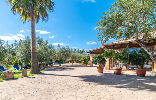 Son Catlar - Photo 25