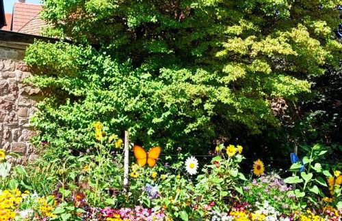 Le Nid Douillet de Bergheim - Foto 41