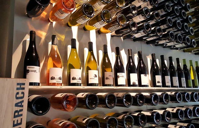 Bélesta Vineyards Hiking Activity - Photo 3