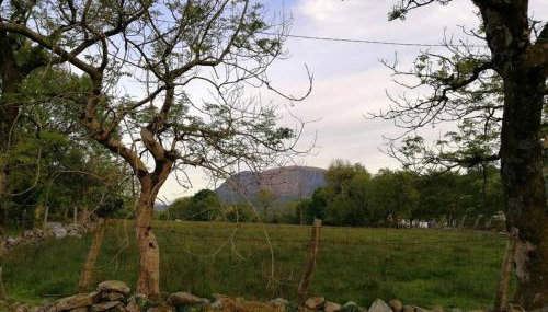 Lovely Stone Village cottage in Snowdonia - Foto 3