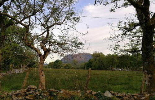 Lovely Stone Village cottage in Snowdonia - Foto 3