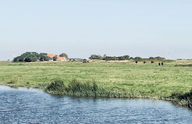 Holiday Home in Callantsoog With Garden - Photo 35