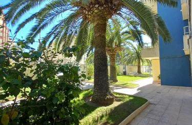 Gandía 5 estrellas - Foto 3