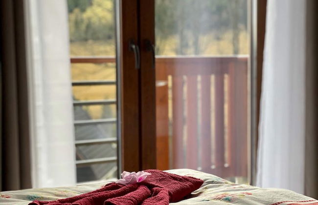 Villa Jarka - Foto 3