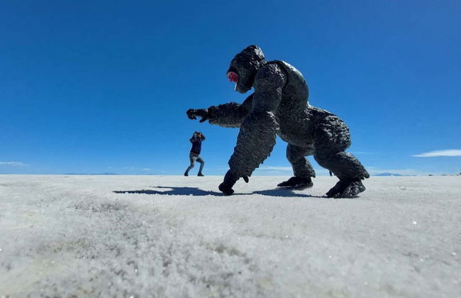 Excursion de 3 jours au salar d’Uyuni et au volcan Tunupa - Photo 9