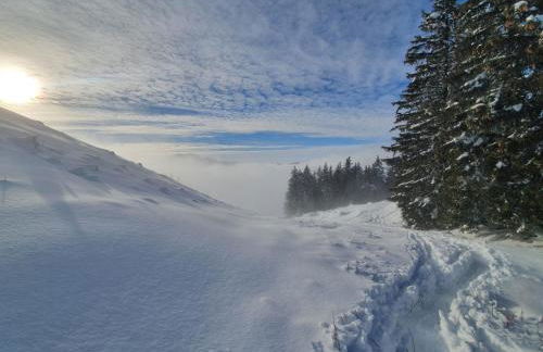 Les Lucioles - Photo 19