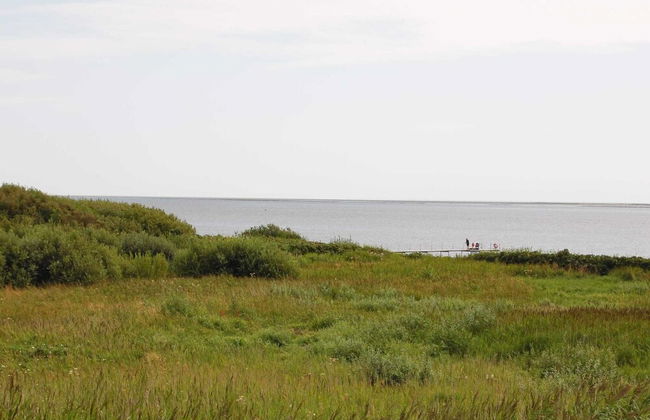 4 Person Holiday Home in Esbjerg V - Foto 24