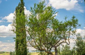 Agriturismo Poggio Istiano - Foto 65