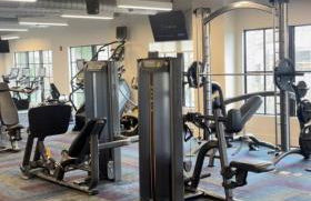 Atlanta Beltline Luxury Double Suite - Foto 48