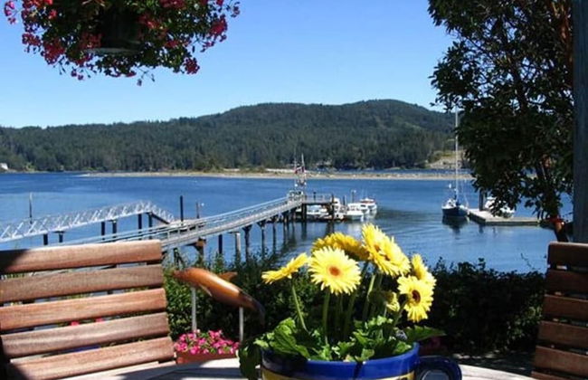 Salty Towers Oceanfront Cottages - Foto 1