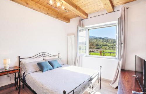 Baciano Azienda Agrituristico Venatoria - Foto 13