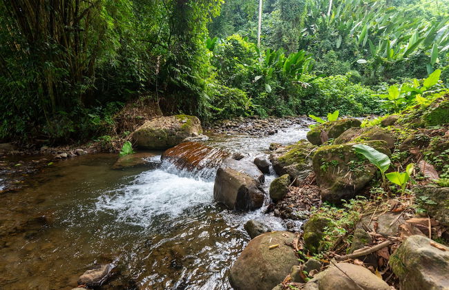 Villa el Bosque La Fortuna - Foto 59