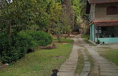 Estúdio Raiz da Mata - Foto 9