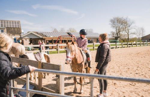 Büdlfarm - Der Familien-Erlebnishof in Strandnähe - Foto 7