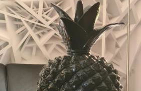 Jolie villa loc-saisonnière - la petite cocagne - Foto 42