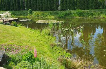 Żuławska Chata - Foto 45