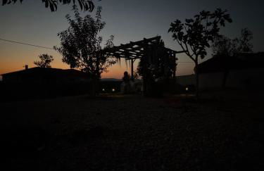 M Butterfly - Foto 18