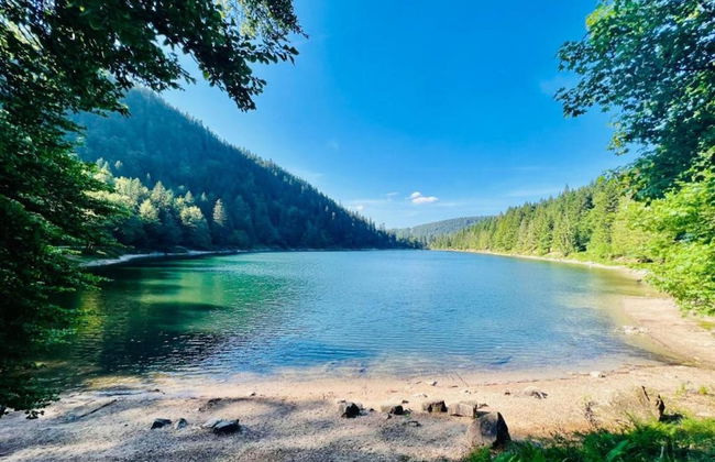 Chalet in La Bresse With Valley Views - Photo 30