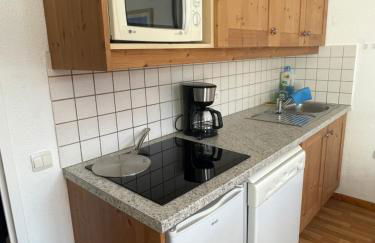 AU PIED DES PISTES D'ARVIEUX - Foto 8