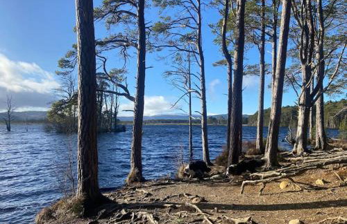 Corrie Fee Lodge - Foto 14