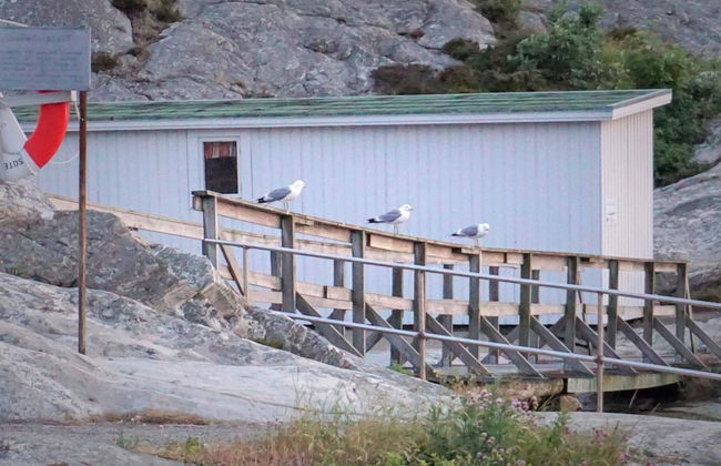 Cozy Archipelago Stay in Smogen - Photo 6