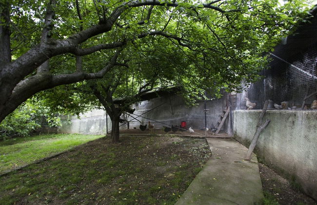 Yaprak Dag Evi - Foto 24