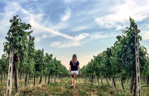 Agriturismo Scribano - Foto 47