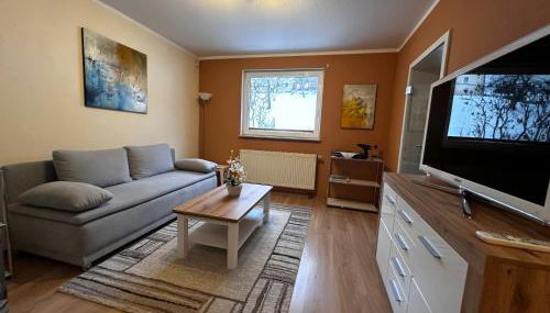 Weinrebe Oberhermsdorf nahe Dresden - Photo 2