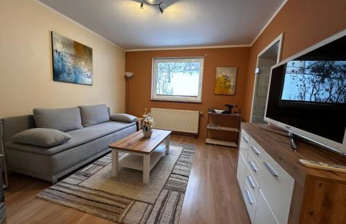 Weinrebe Oberhermsdorf nahe Dresden - Foto 2