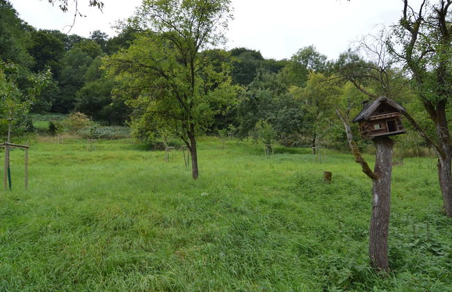 Cozy Apartment in Immerath With Fishing Near - Foto 40