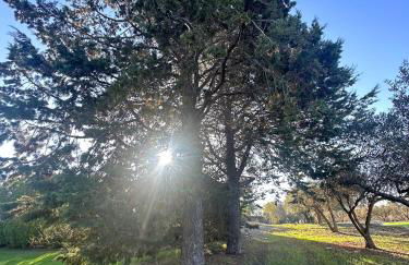 Villa Serenità - Foto 39